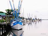Shrimp Boats at Darien