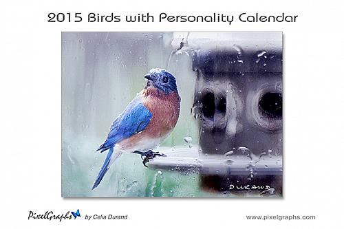 2015 Birds with Personality