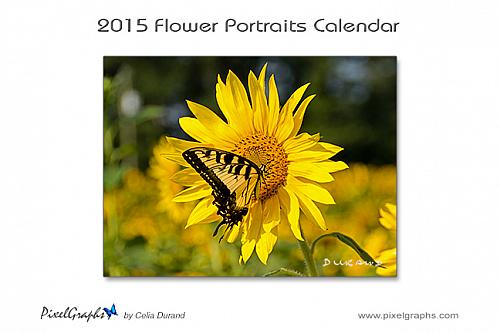 2015 Flower Portraits